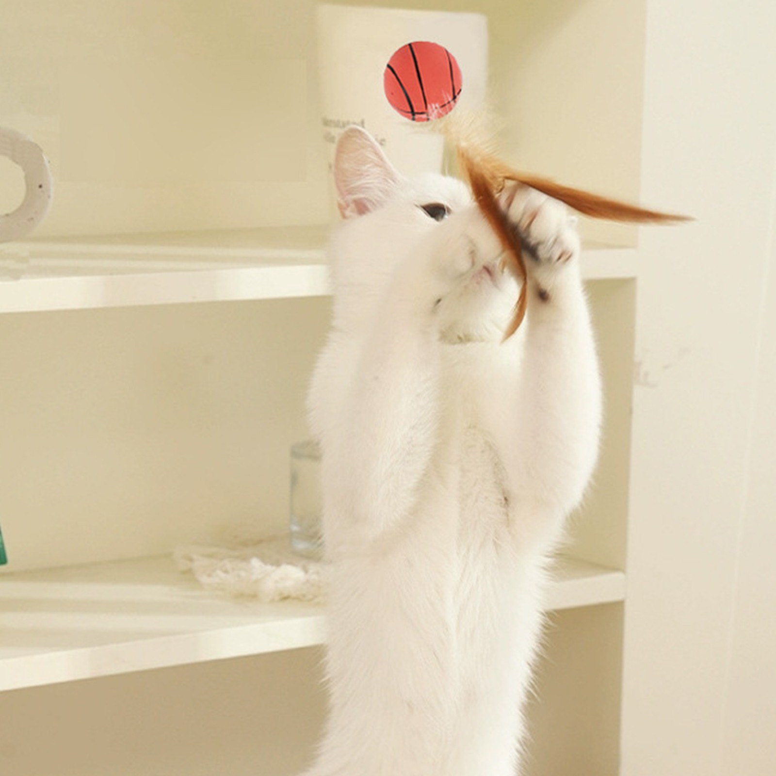 Katze Feder Ball Spielzeug Int – Basketball Arcade Game Bewertung und Preis