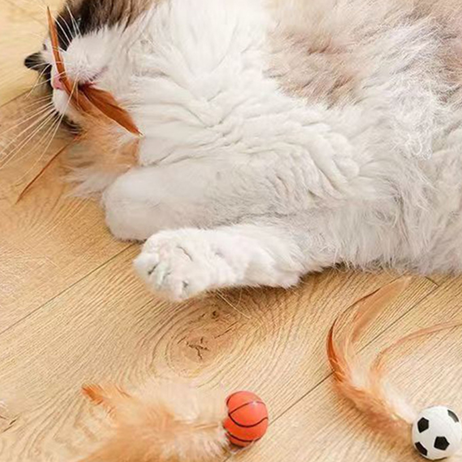 Katze Feder Ball Spielzeug Int – Basketball Arcade Game Bewertung und Preis